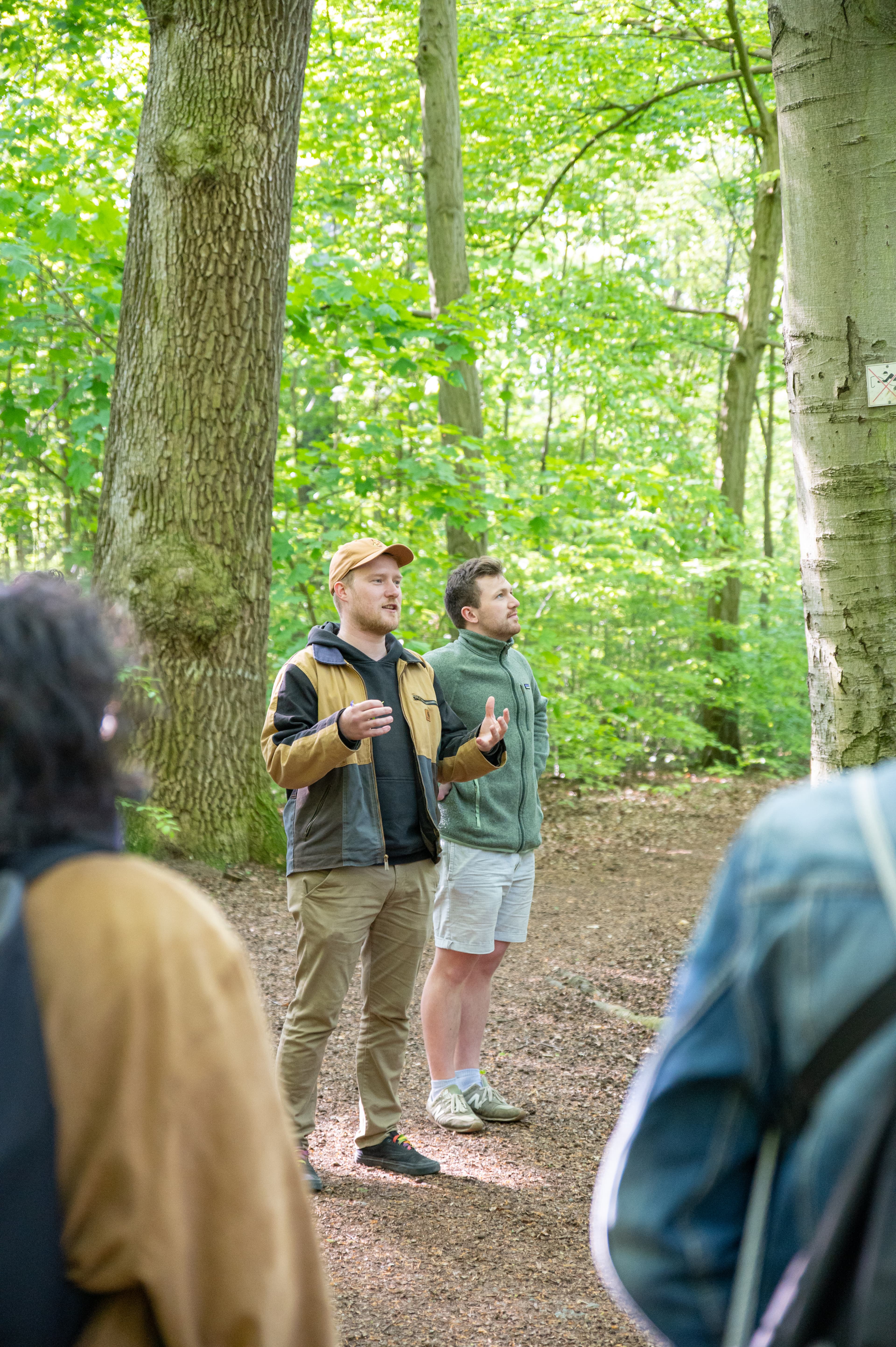 Was der Wald alles kann (und was wir glauben, was er könnte)